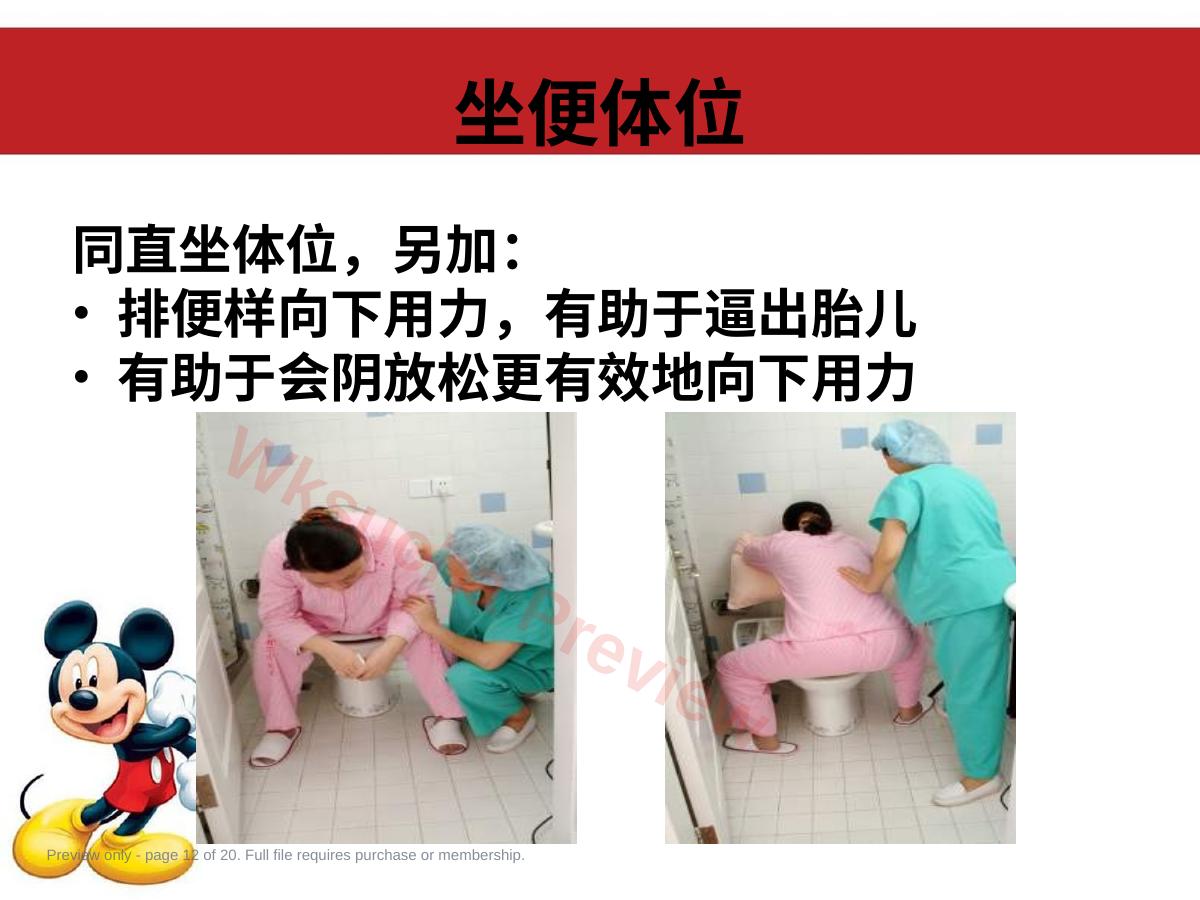 预览第 12 页