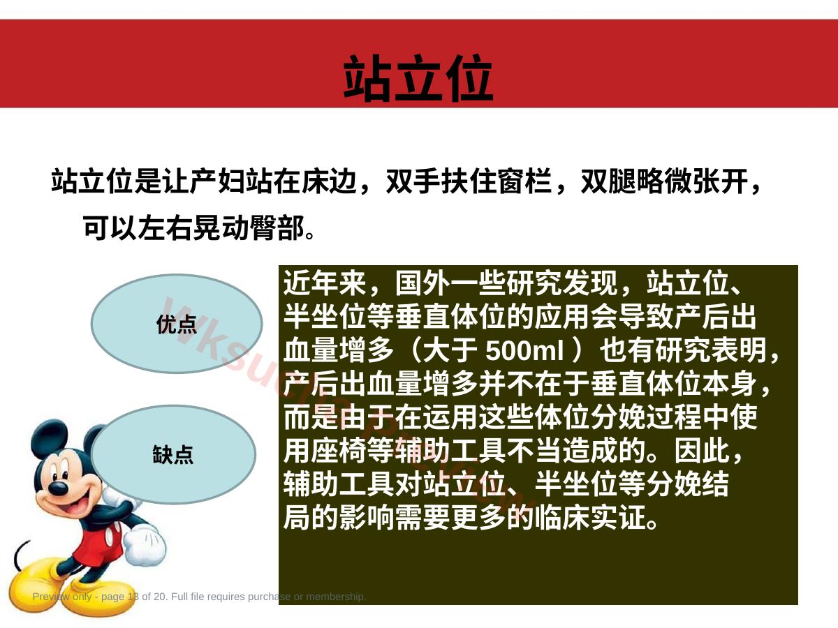 预览第 13 页