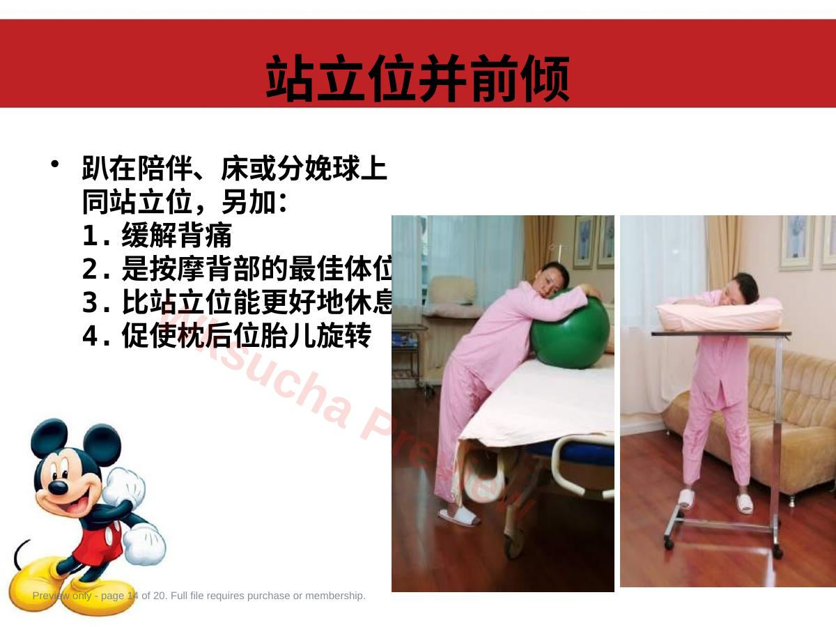 预览第 14 页