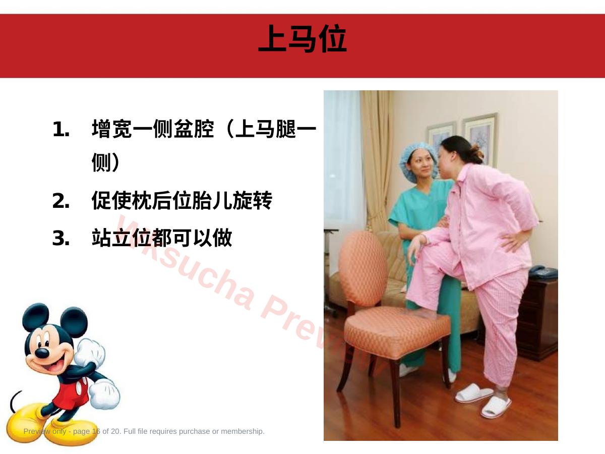 预览第 16 页