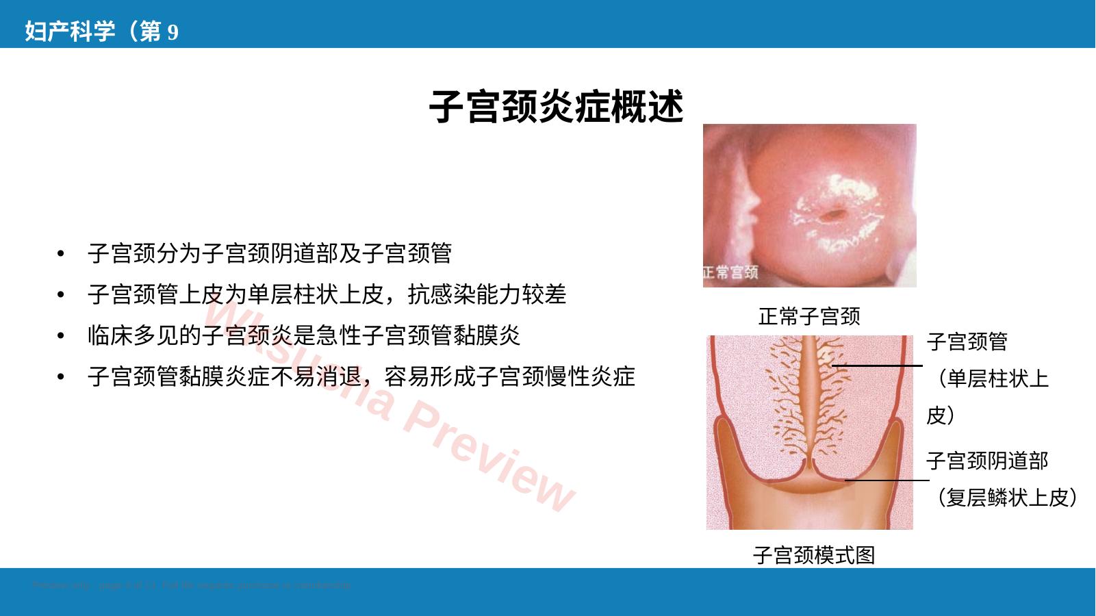 预览第 4 页