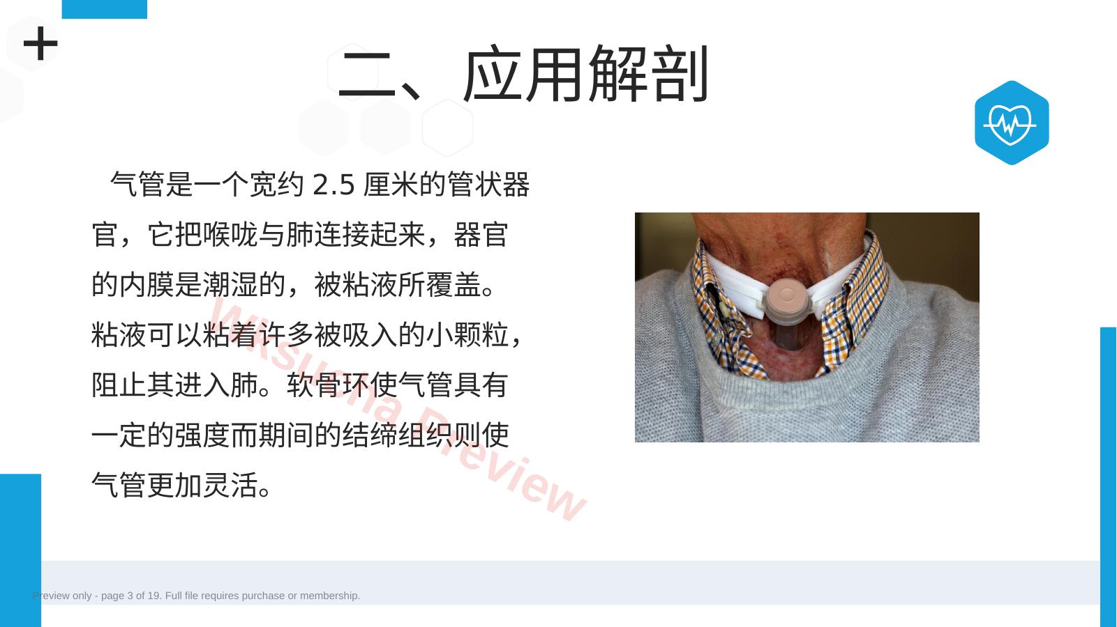 预览第 3 页