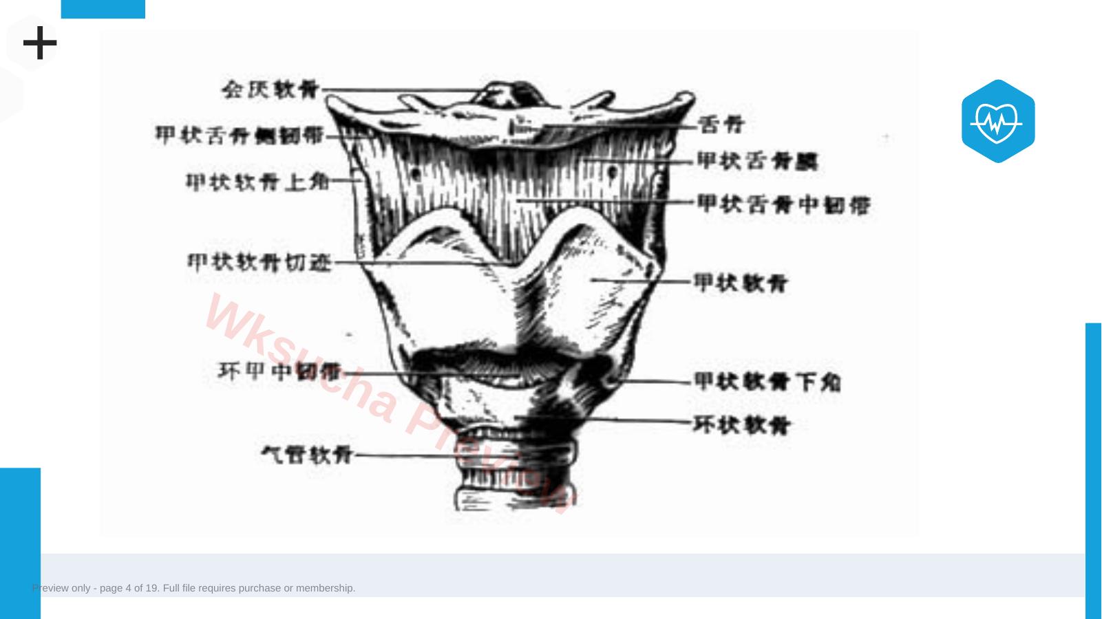 预览第 4 页