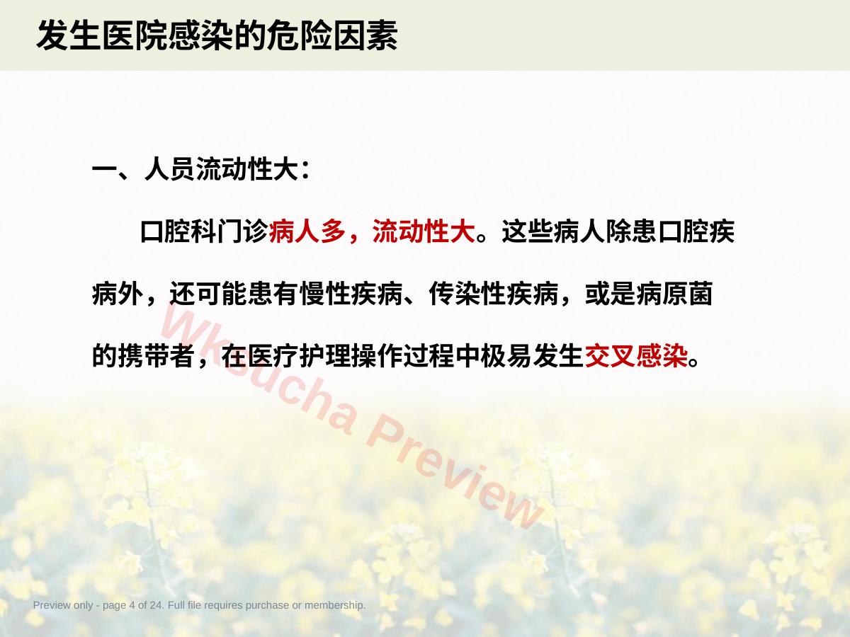 预览第 4 页