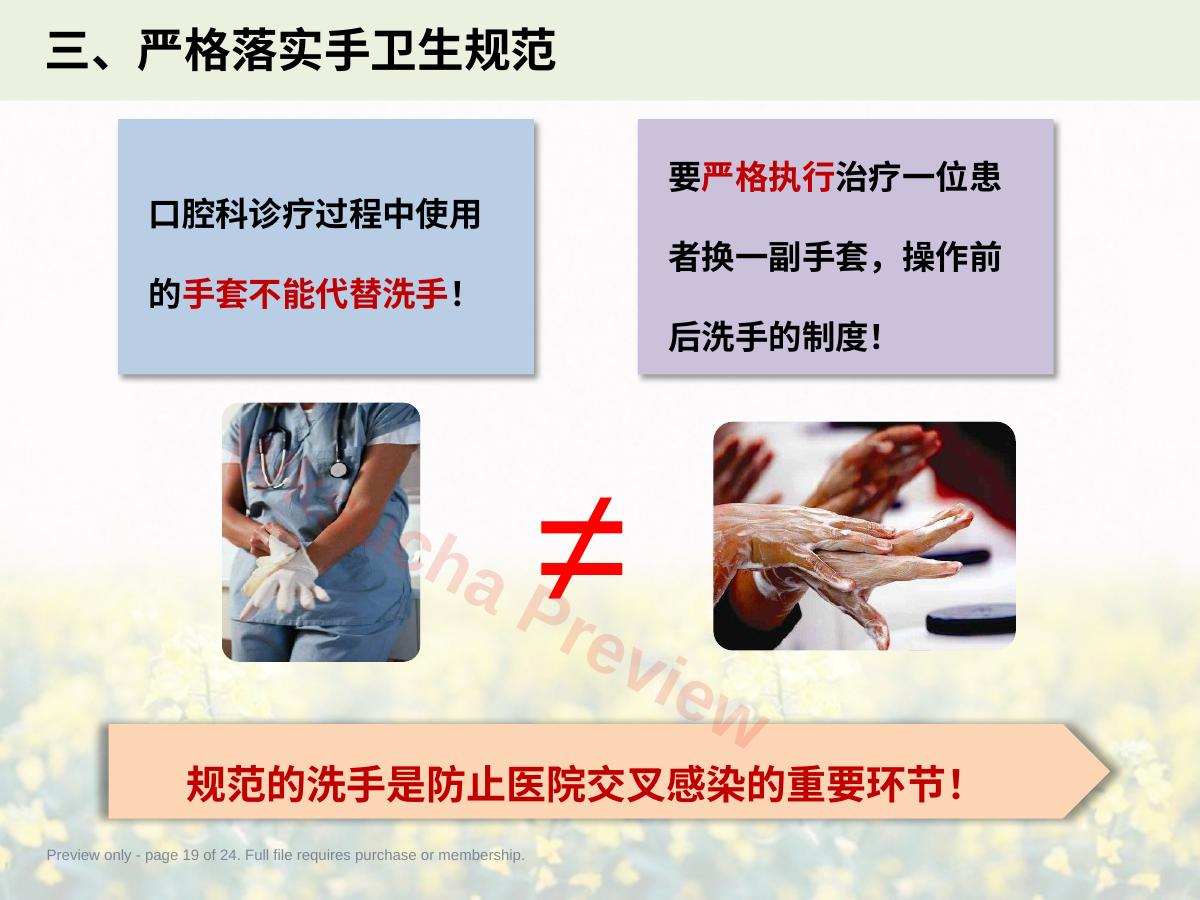 预览第 19 页