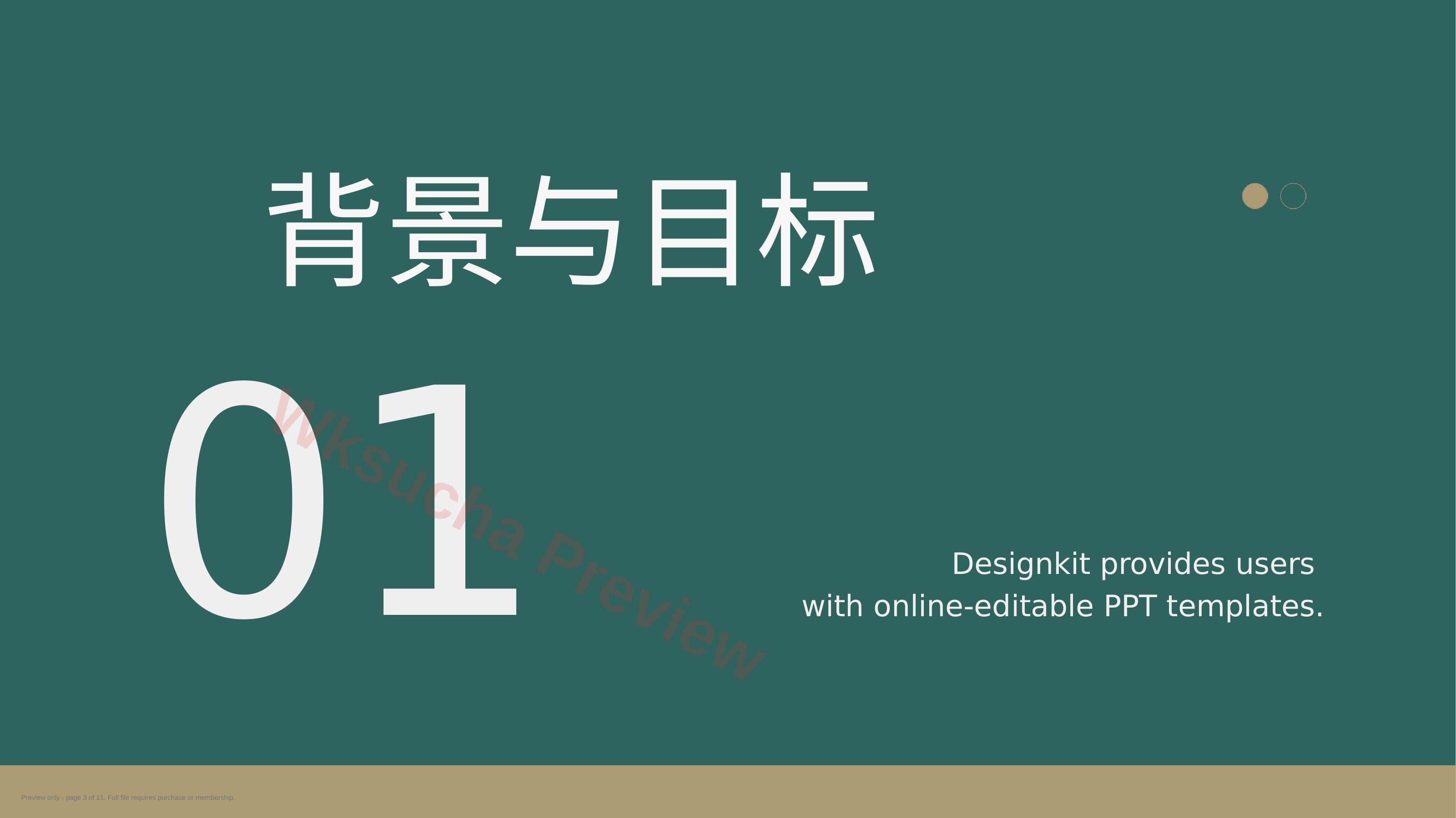 预览第 3 页