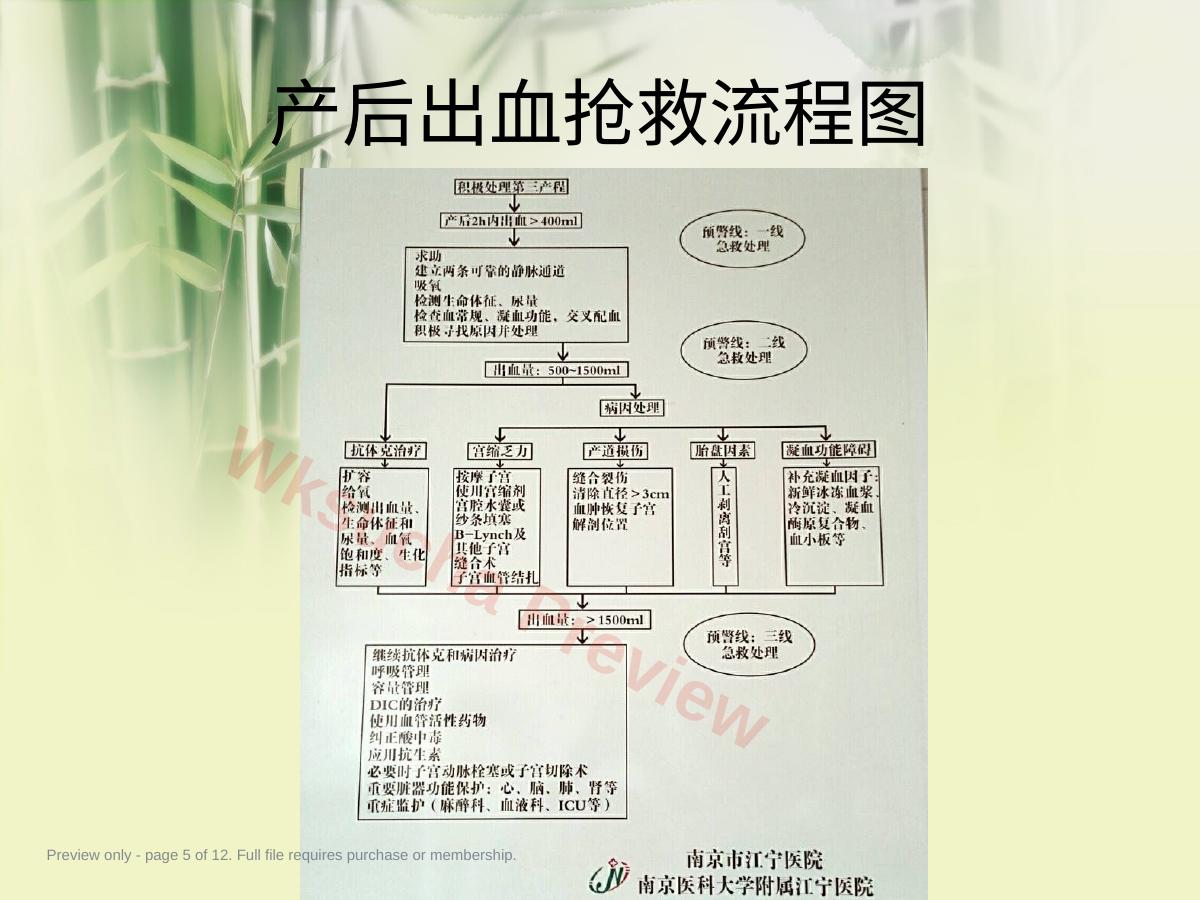 预览第 5 页