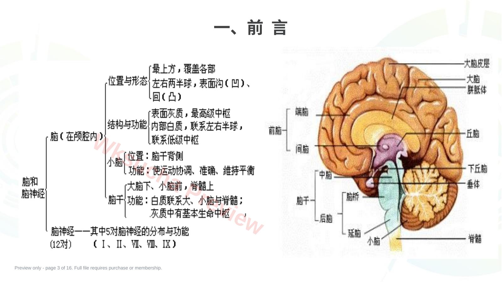 预览第 3 页