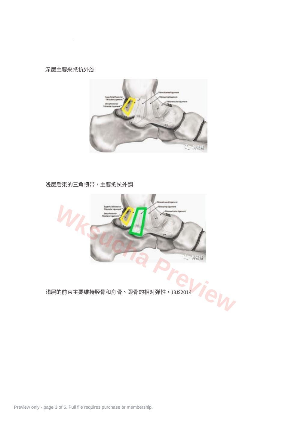 预览第 3 页