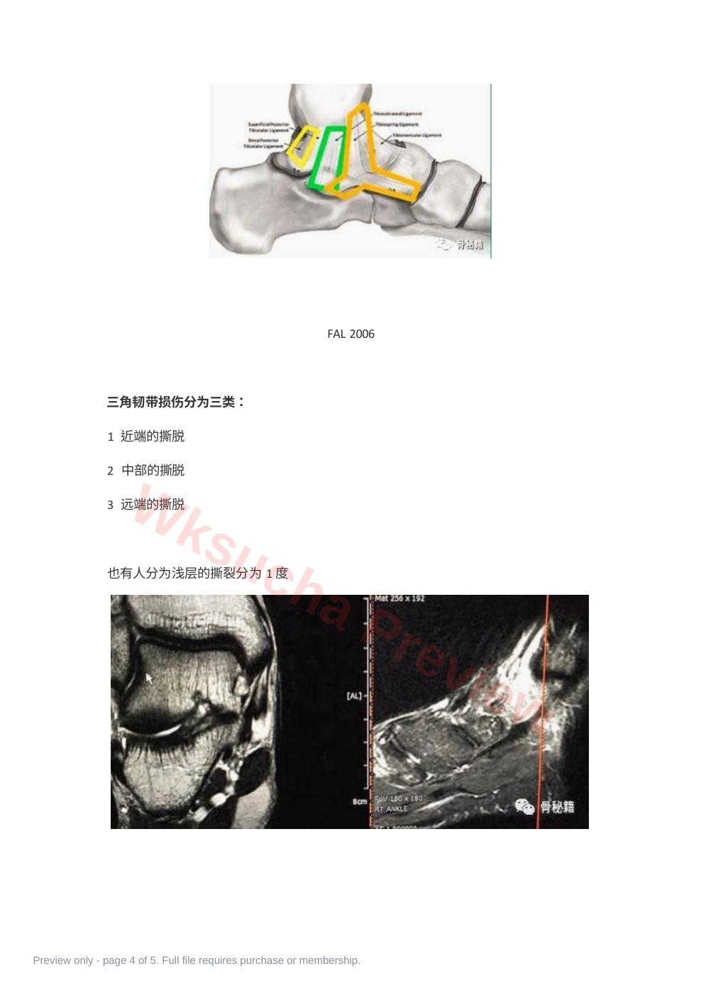 预览第 4 页