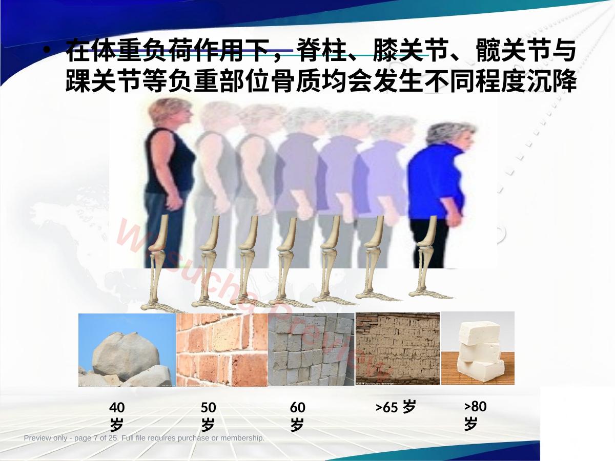 预览第 7 页