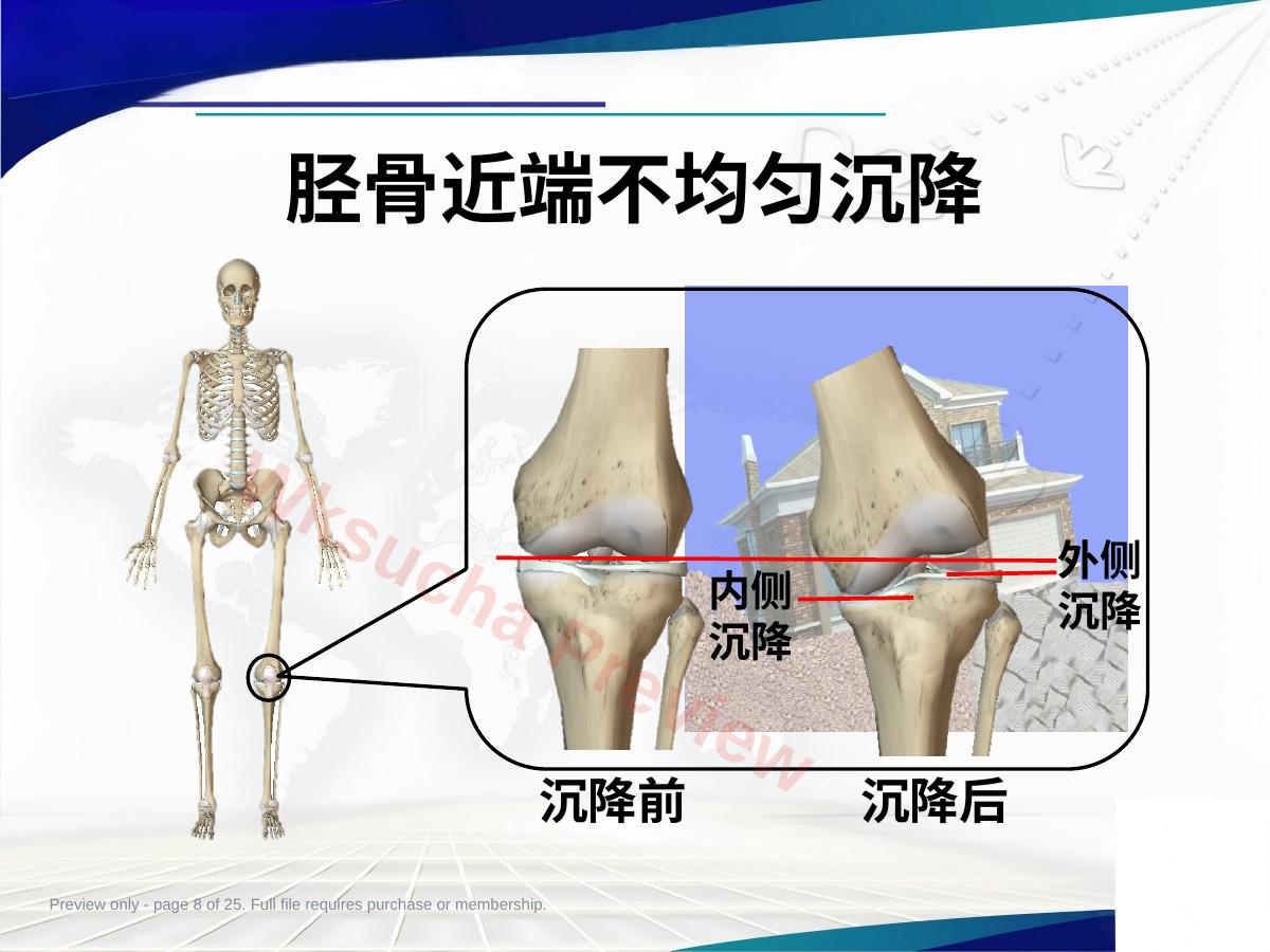 预览第 8 页