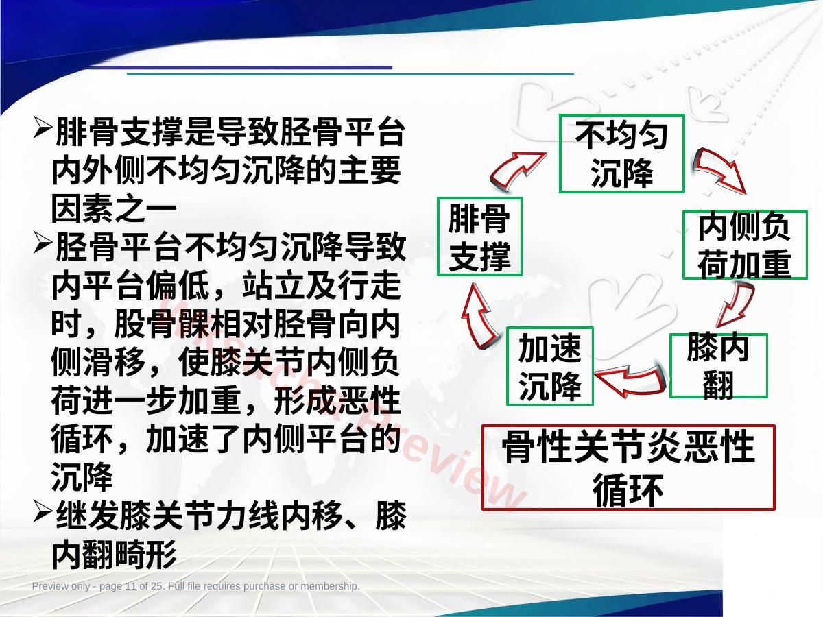 预览第 11 页