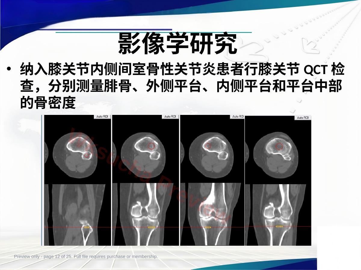 预览第 12 页