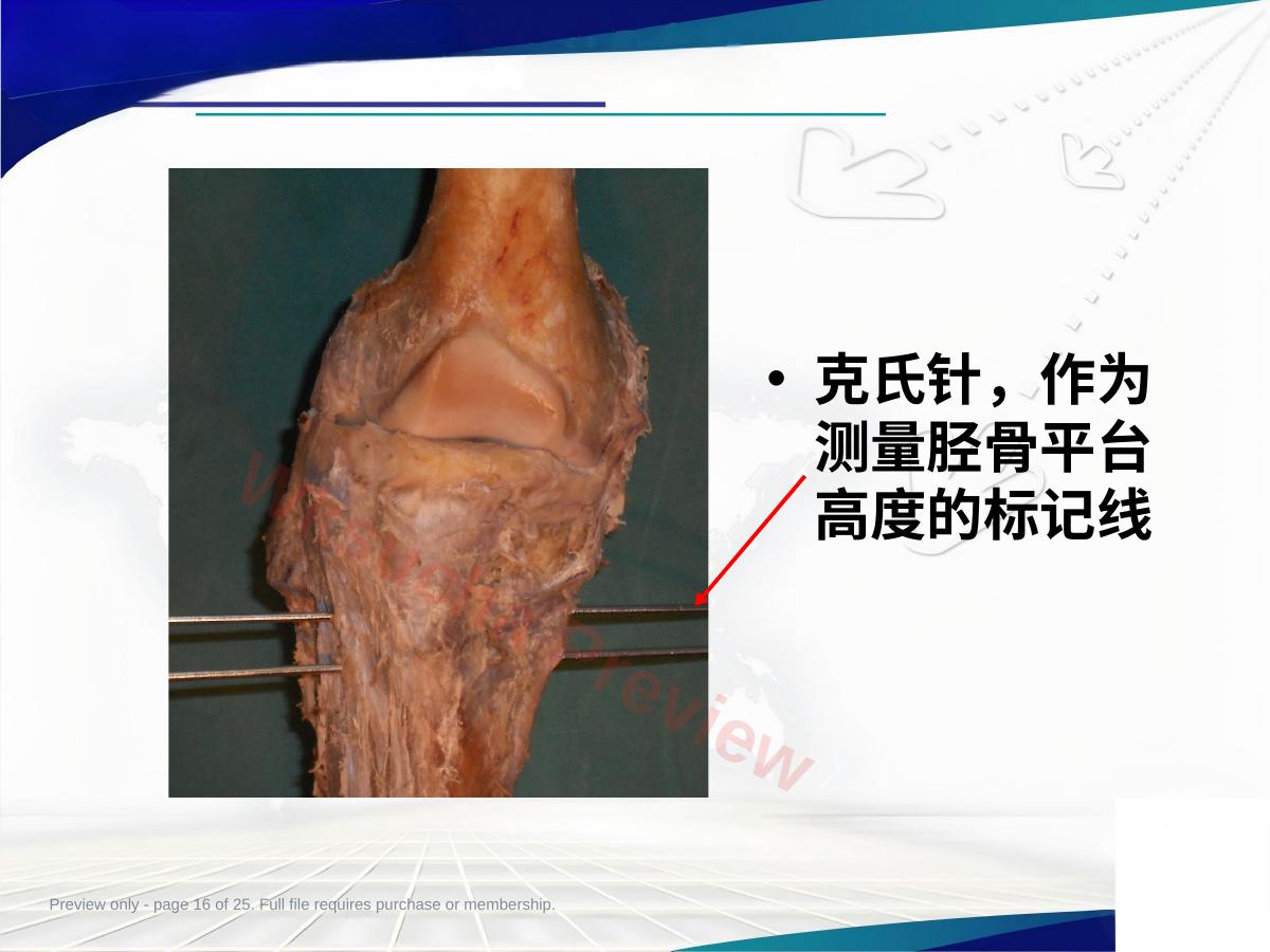 预览第 16 页