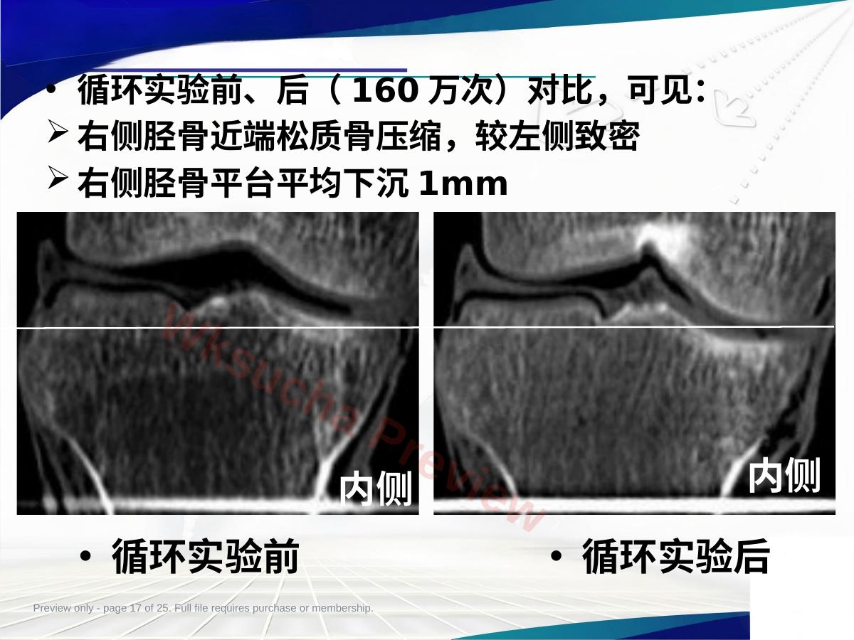 预览第 17 页