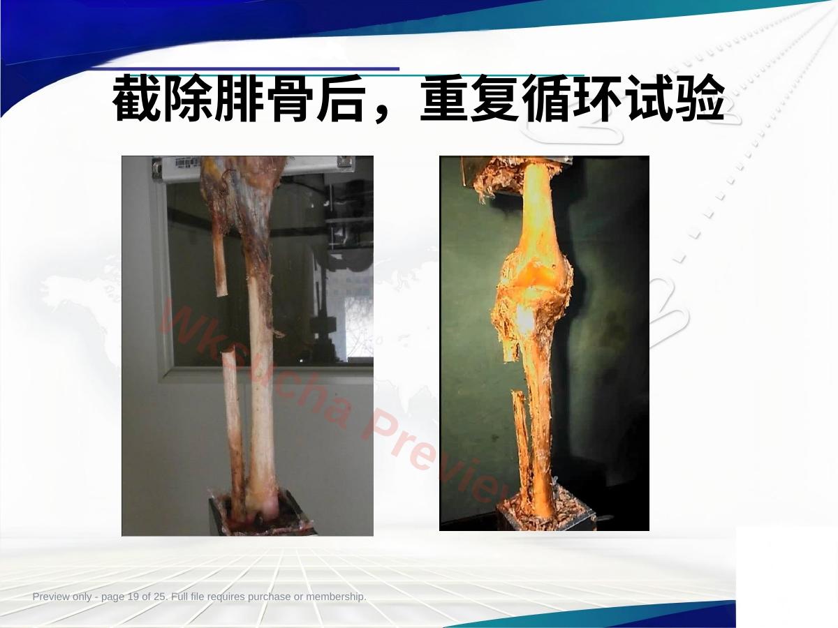 预览第 19 页