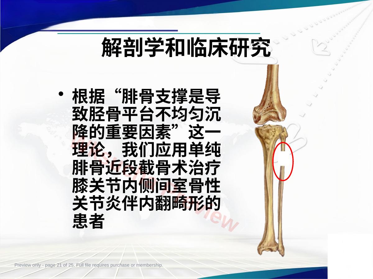预览第 21 页