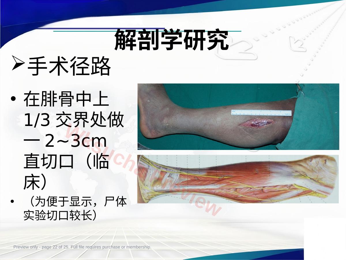 预览第 22 页
