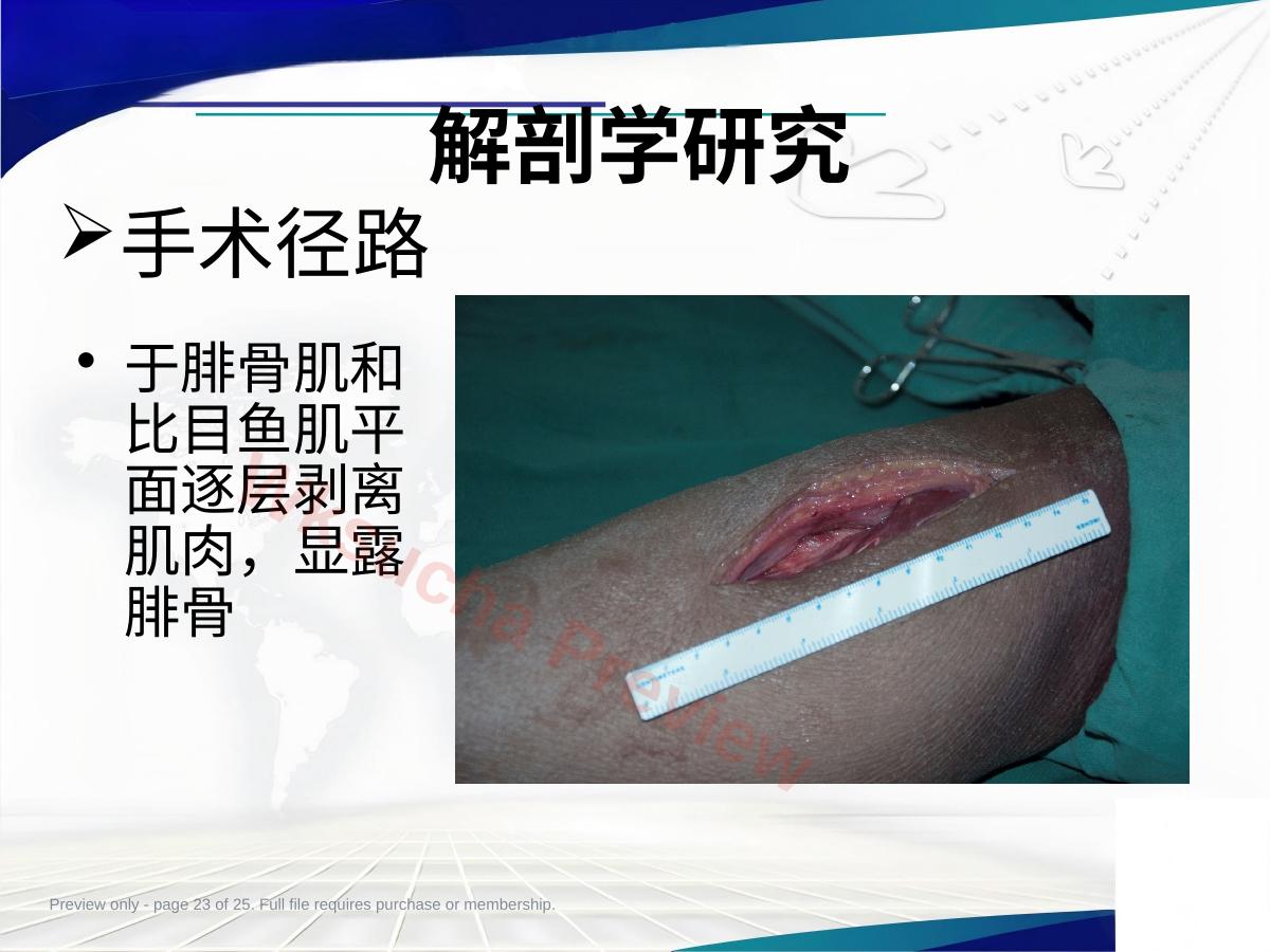 预览第 23 页