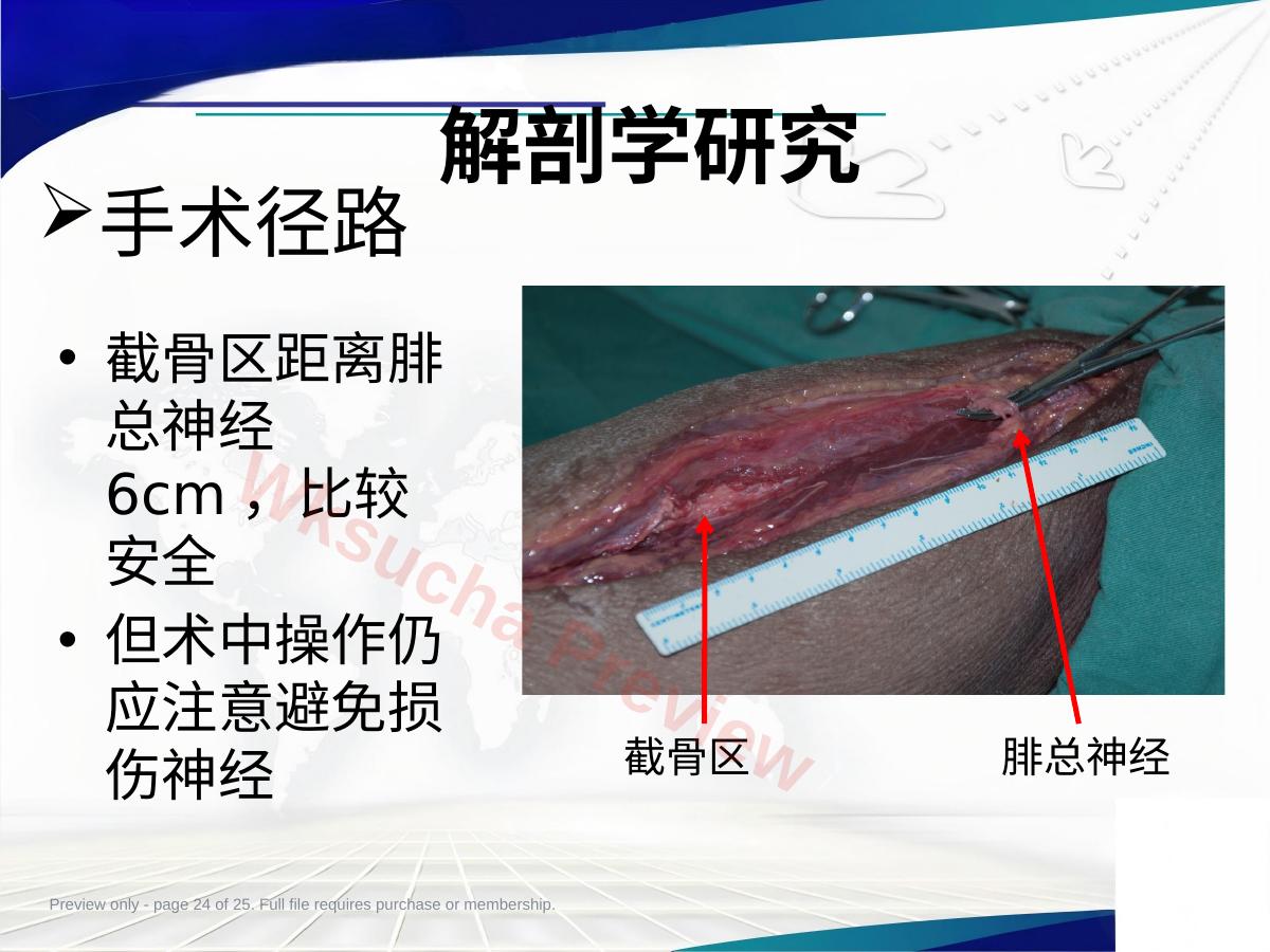 预览第 24 页