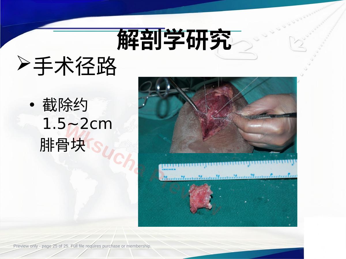 预览第 25 页