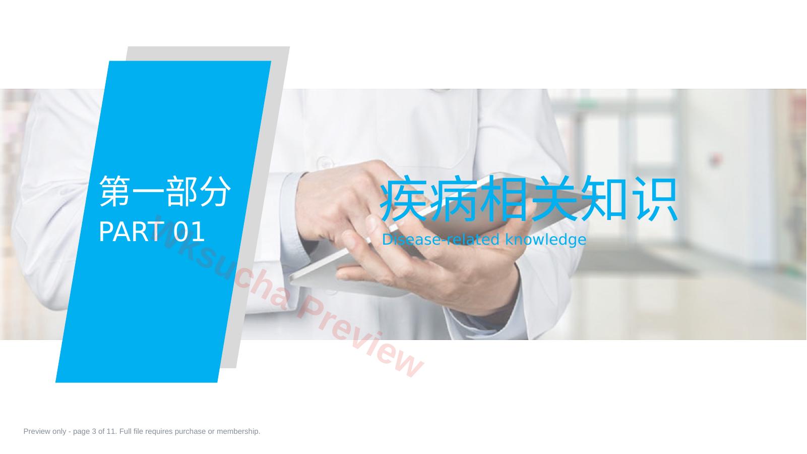预览第 3 页