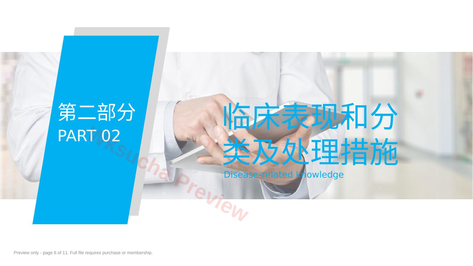 预览第 6 页