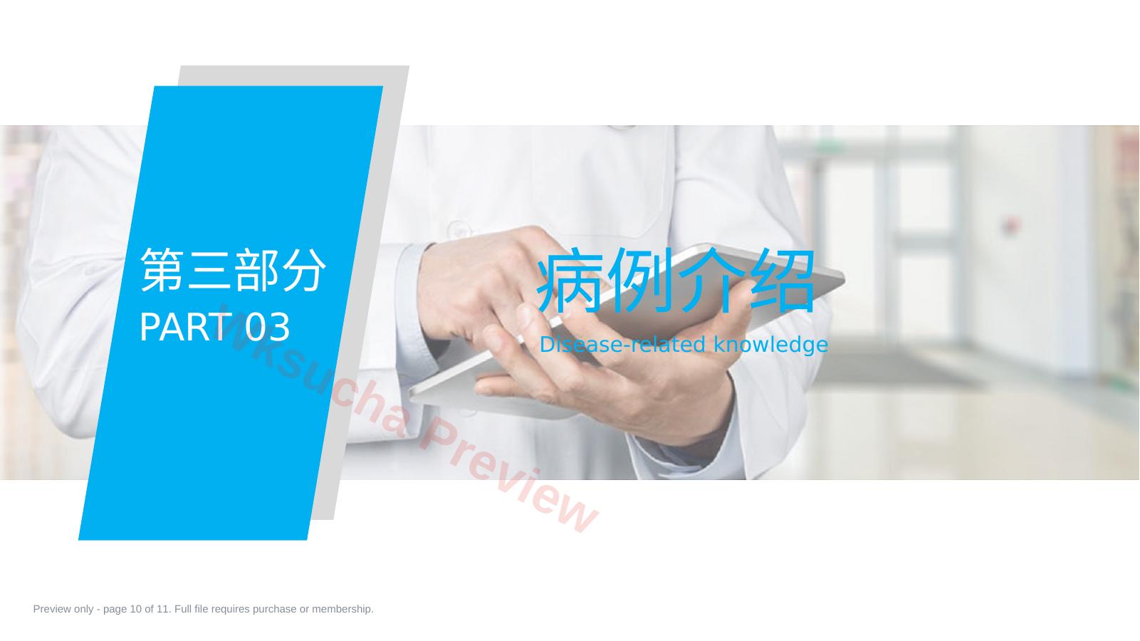 预览第 10 页