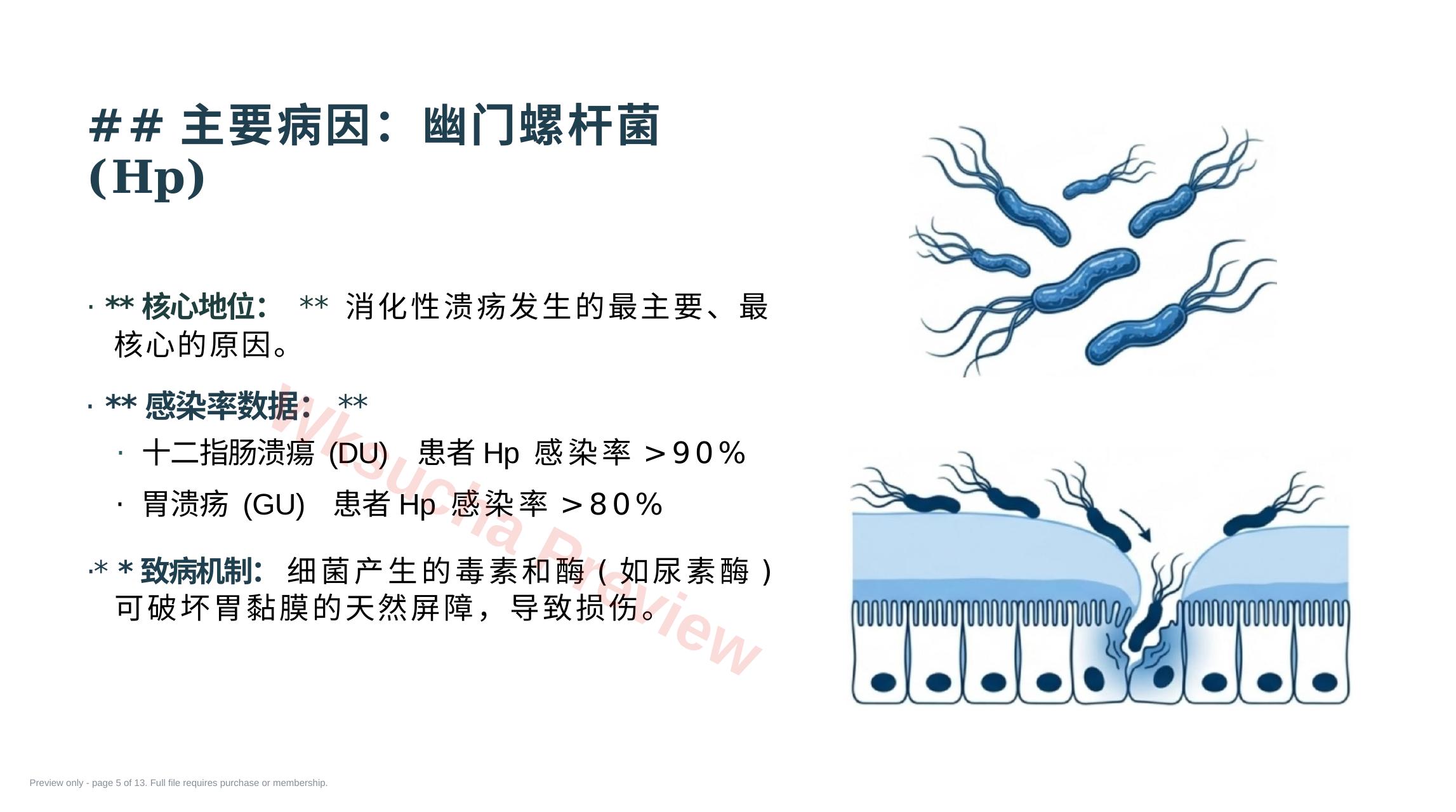 预览第 5 页