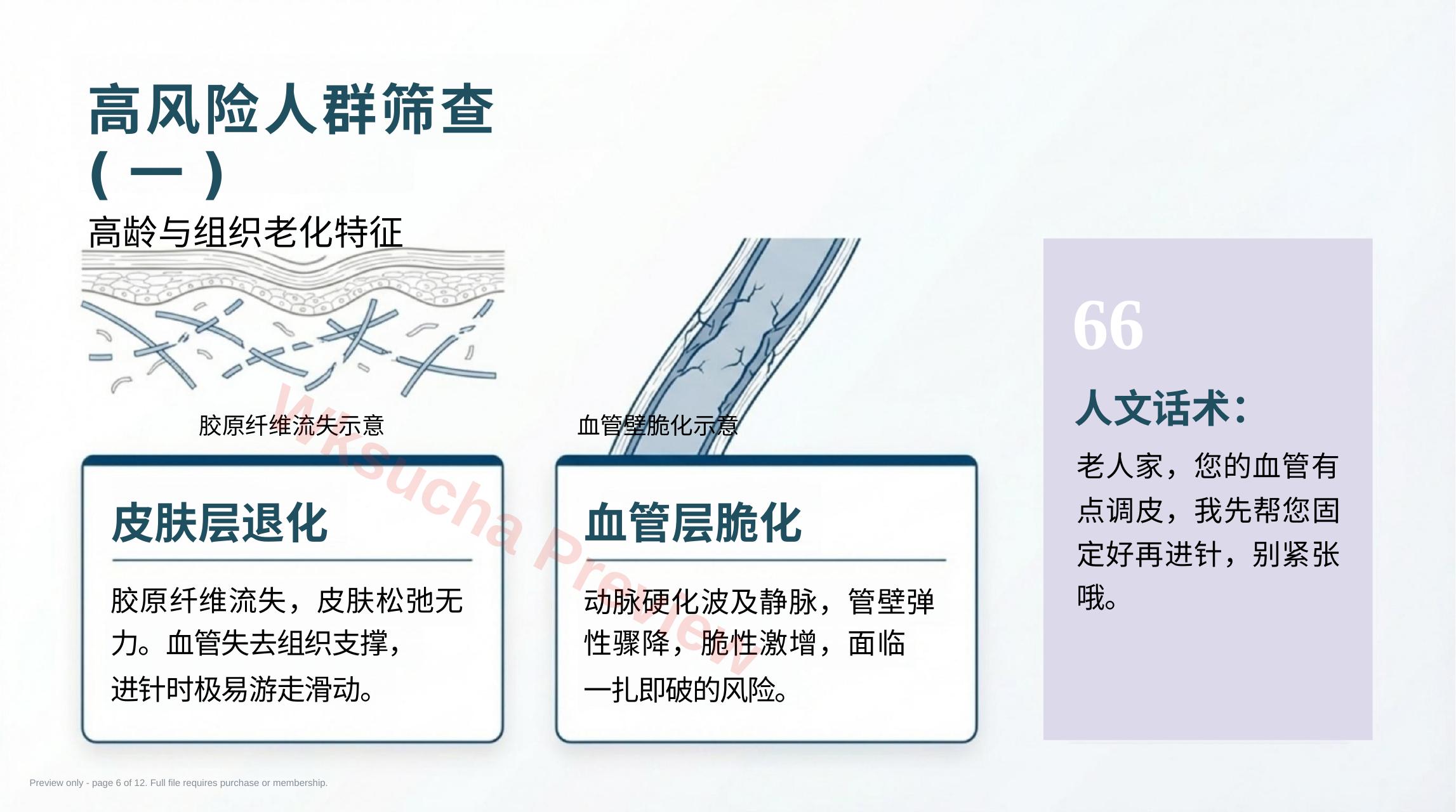 预览第 6 页