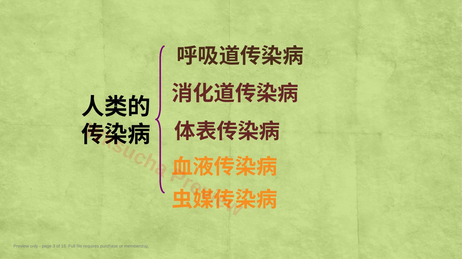 预览第 3 页
