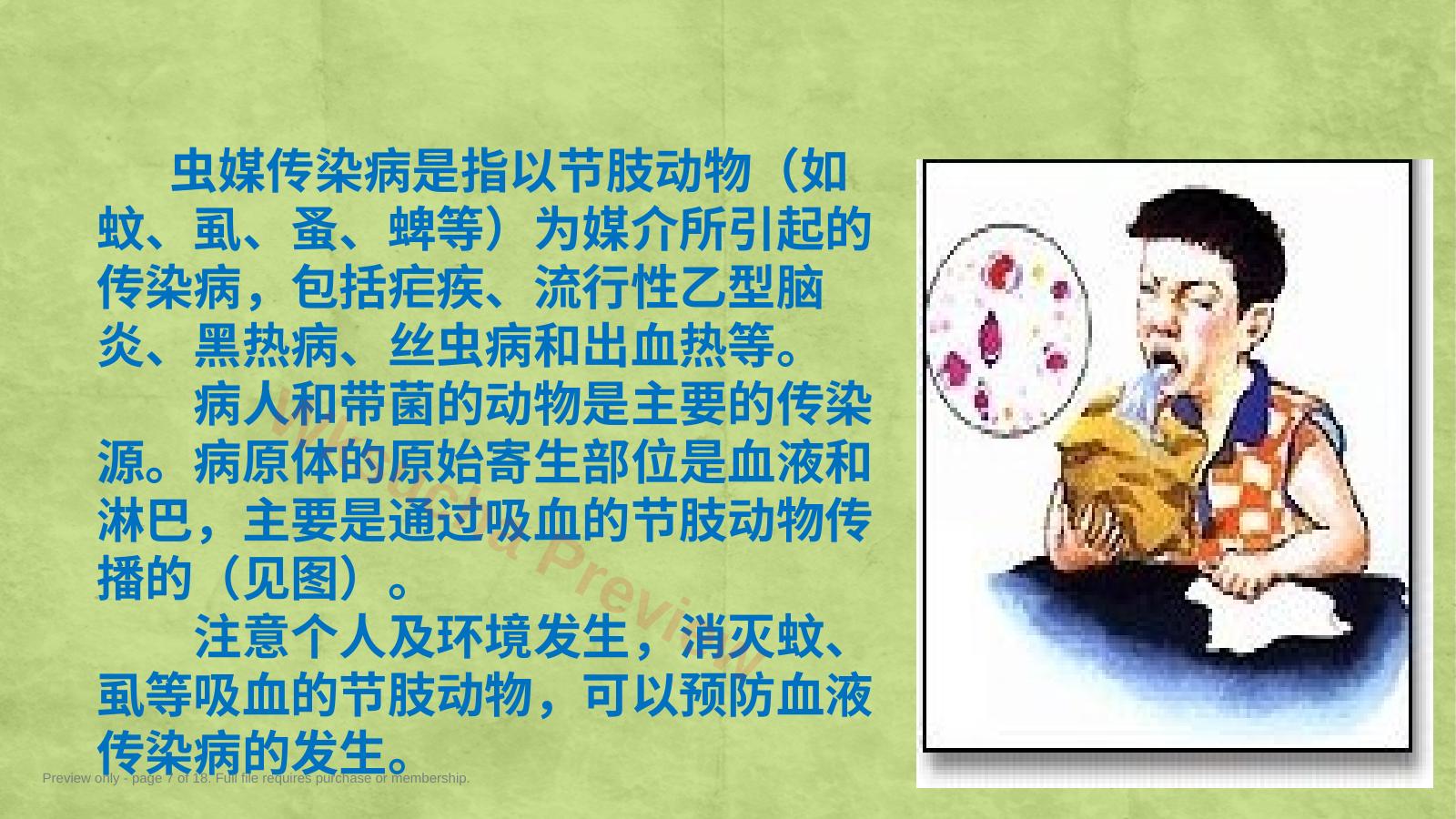 预览第 7 页
