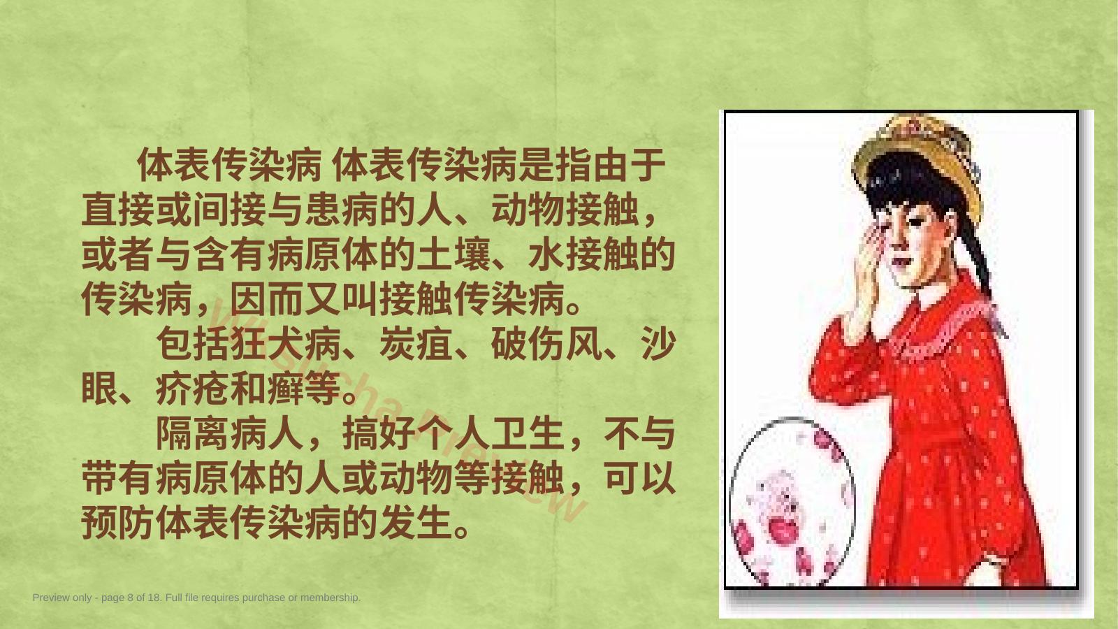 预览第 8 页