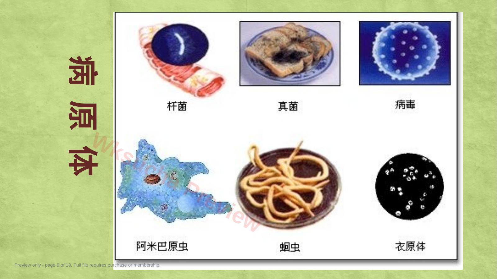 预览第 9 页