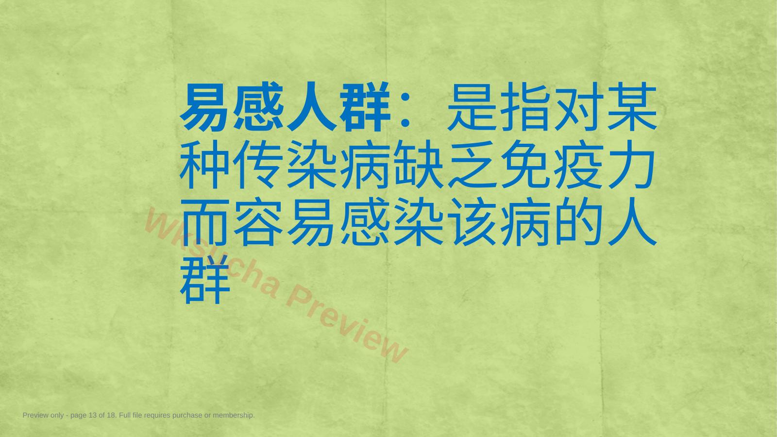 预览第 13 页