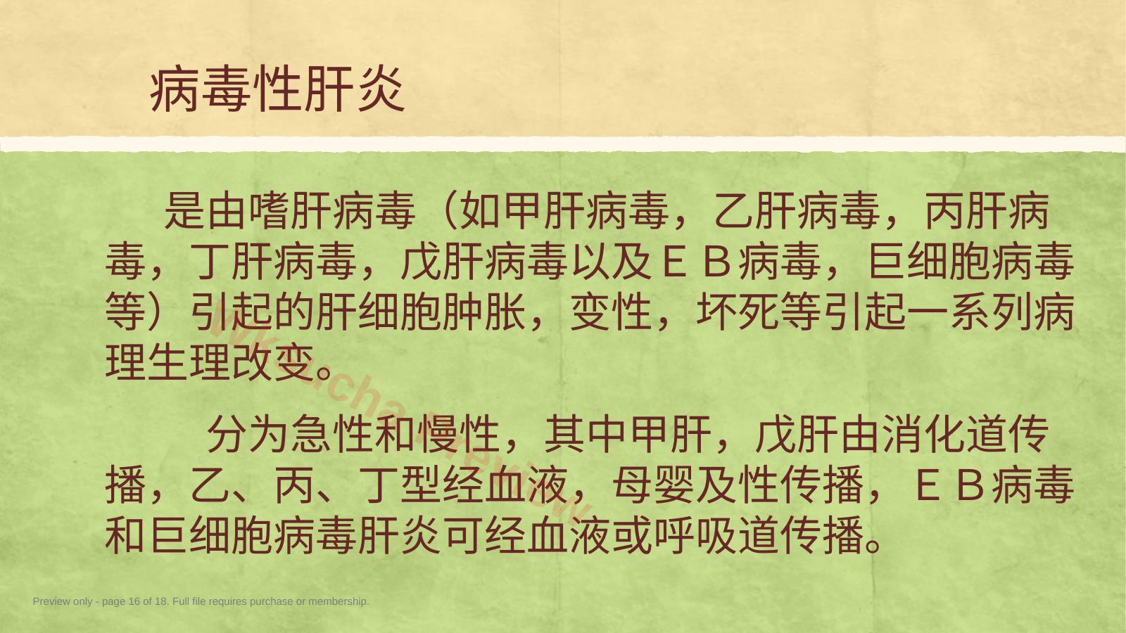 预览第 16 页