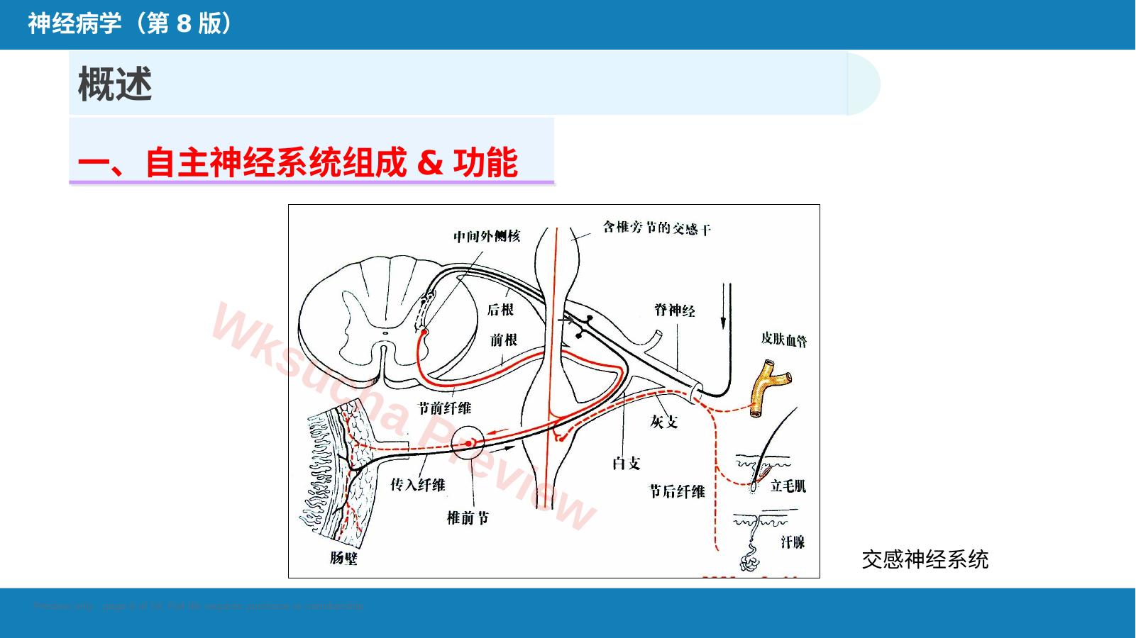 预览第 6 页