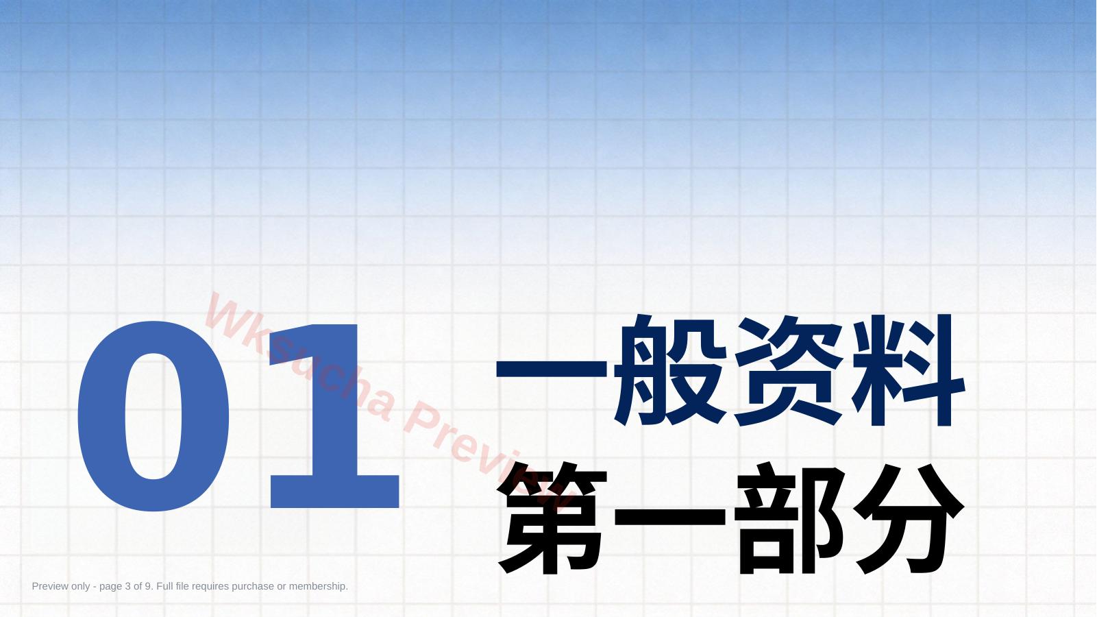 预览第 3 页