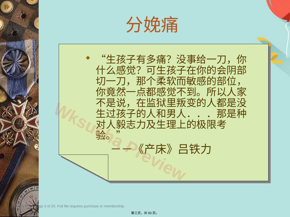 预览第 3 页