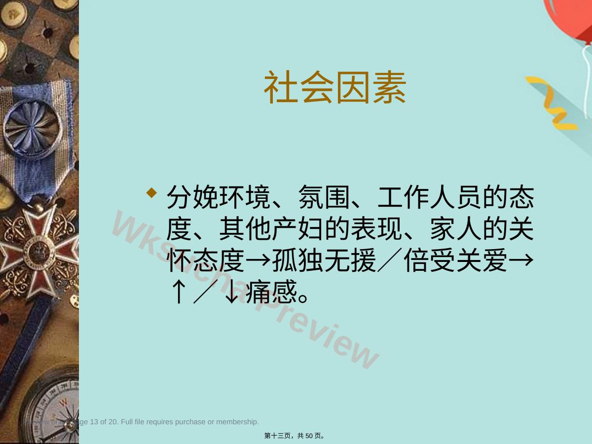 预览第 13 页