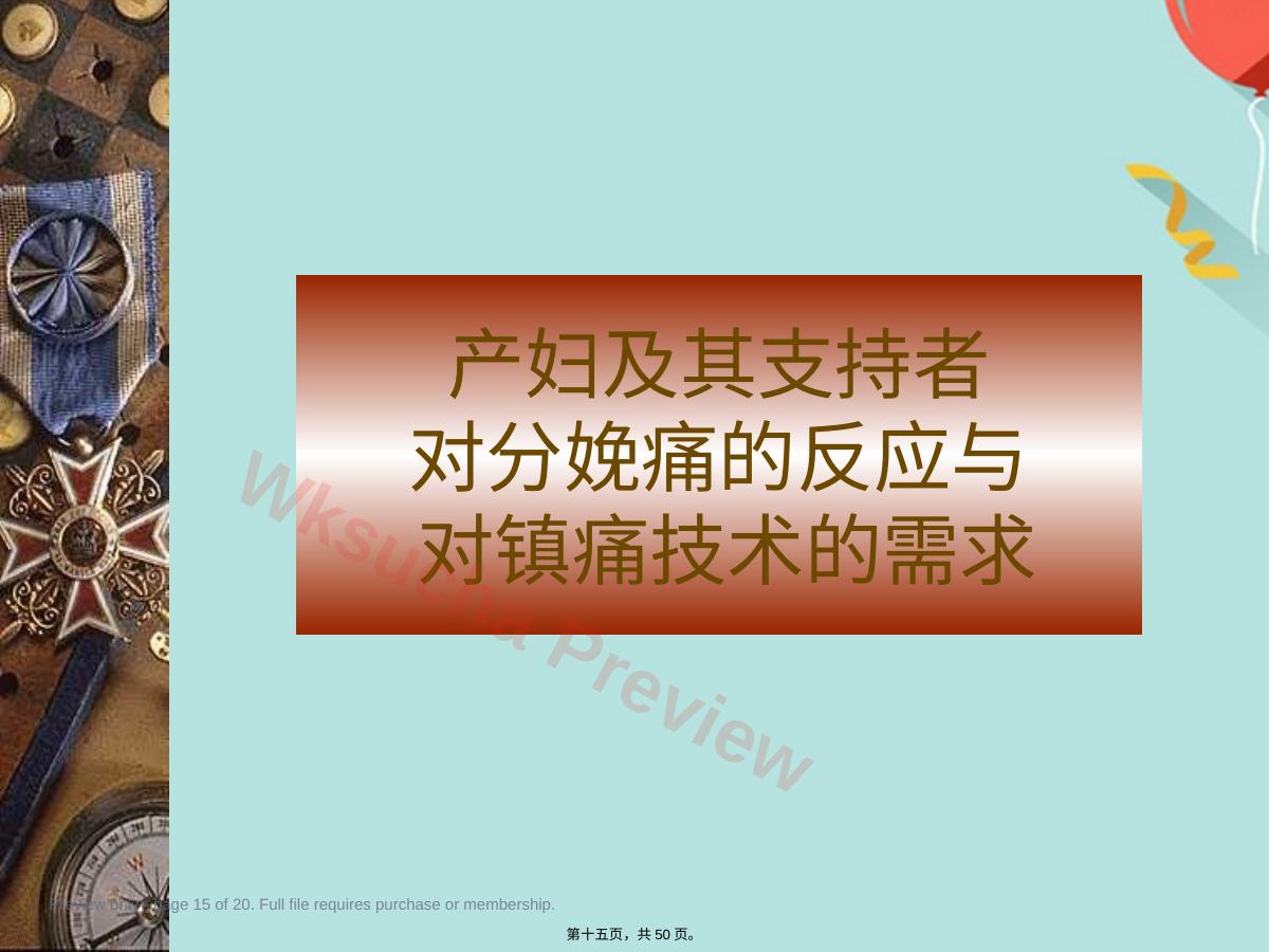 预览第 15 页