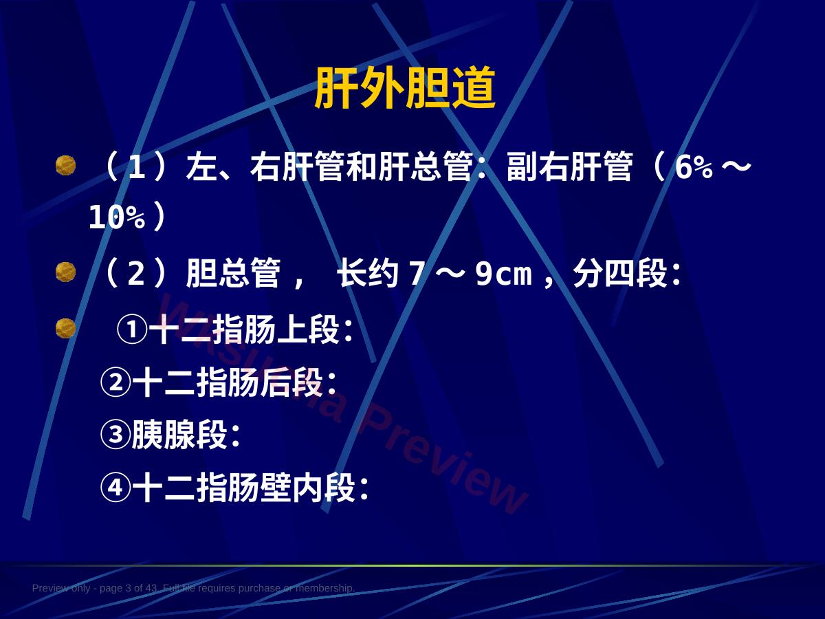 预览第 3 页