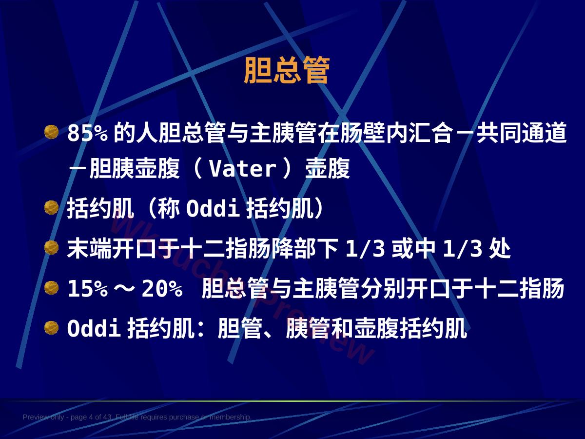 预览第 4 页