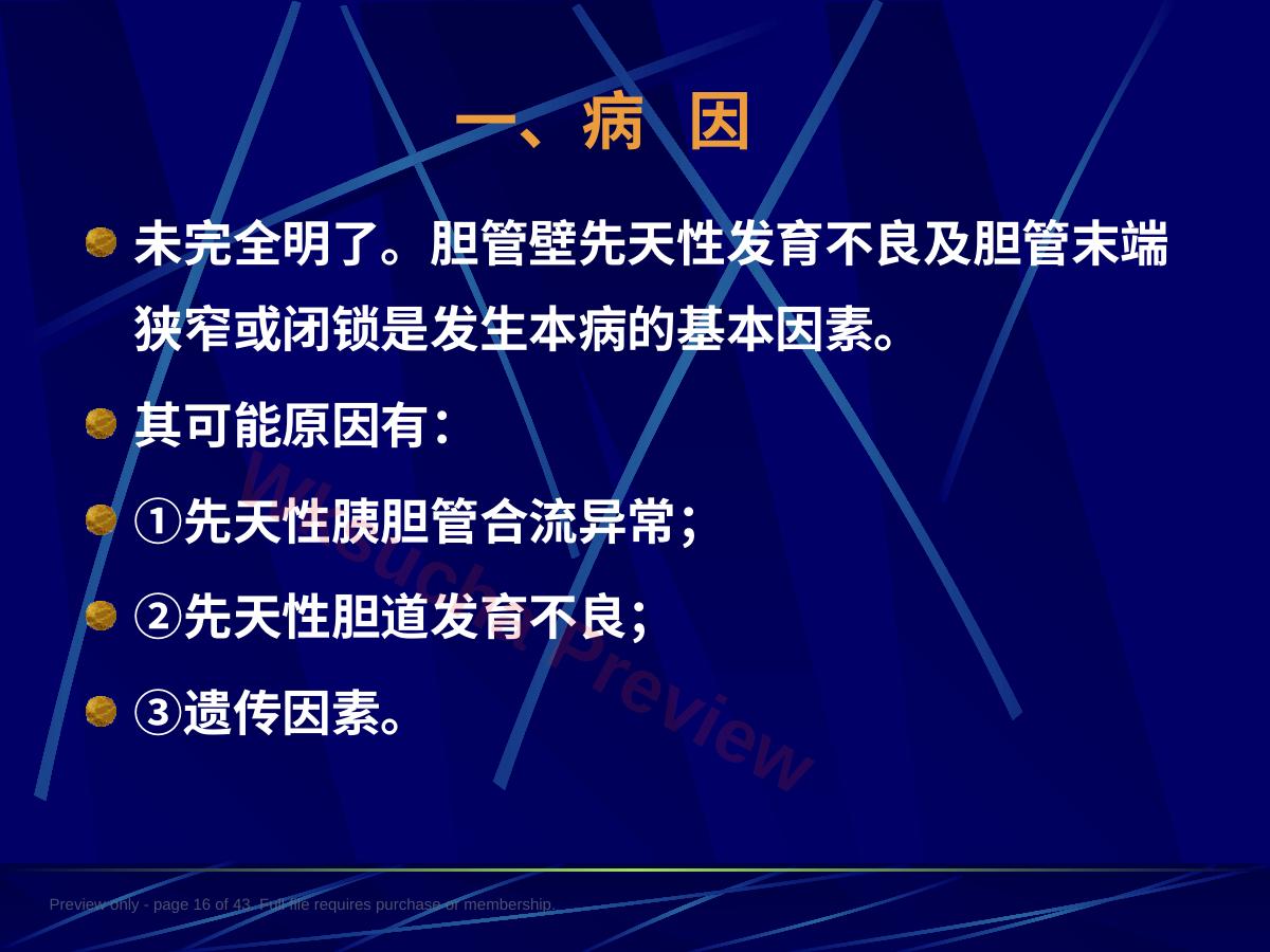 预览第 16 页
