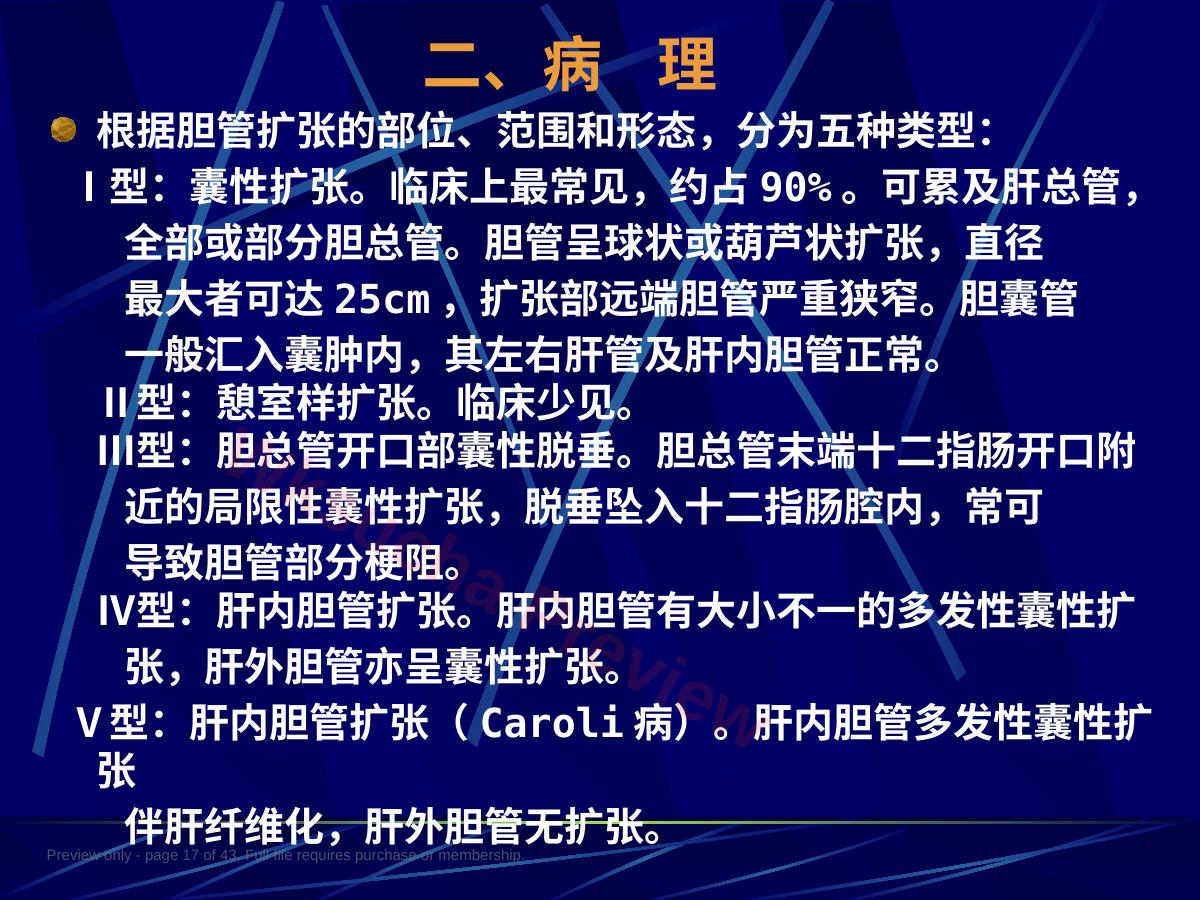 预览第 17 页