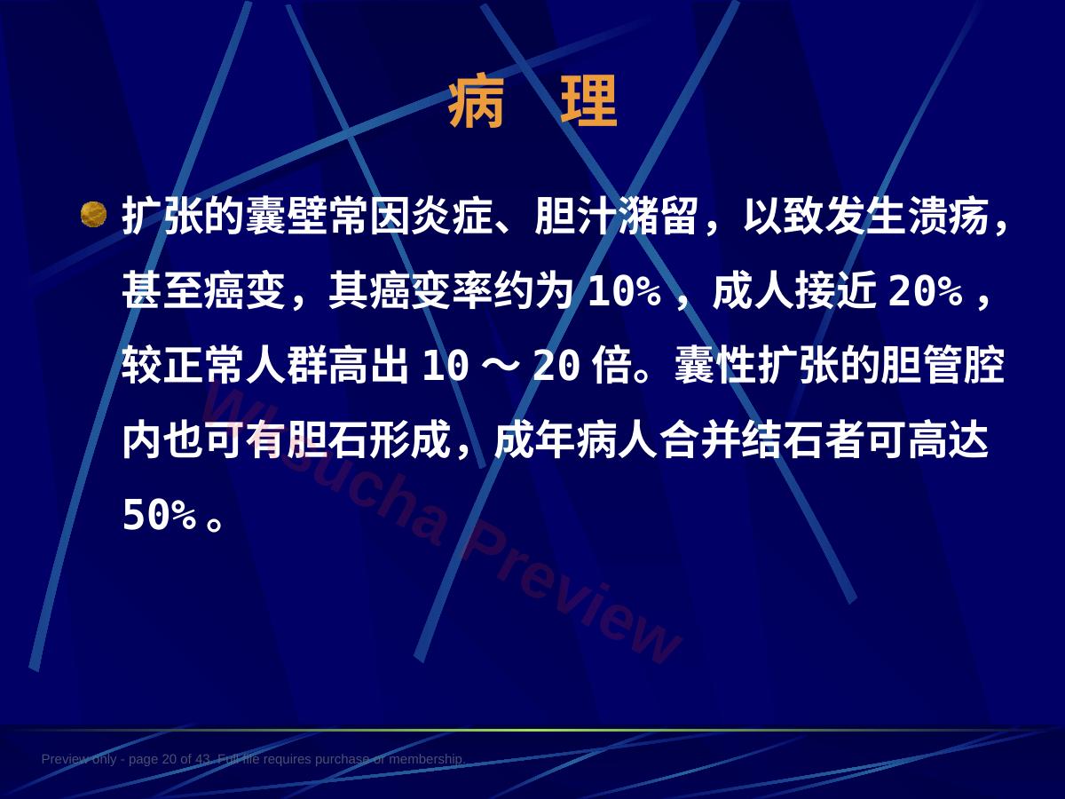 预览第 20 页