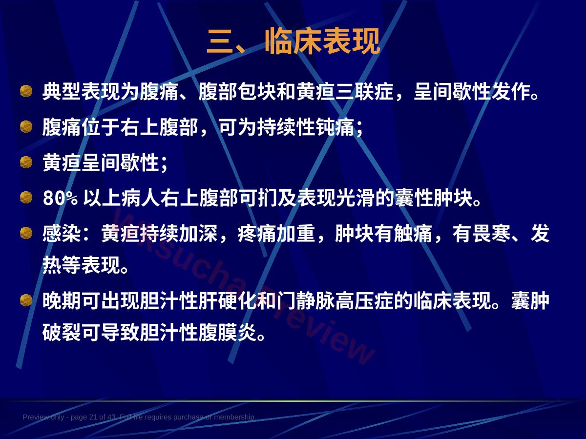 预览第 21 页