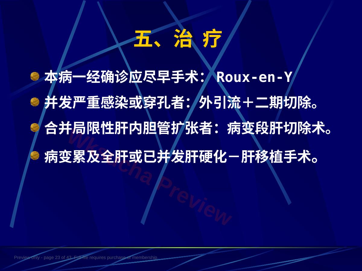 预览第 23 页
