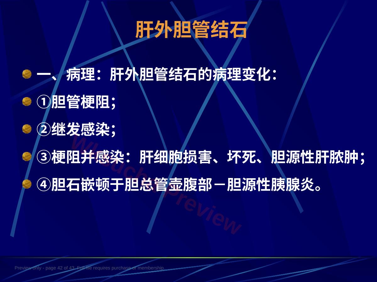 预览第 42 页